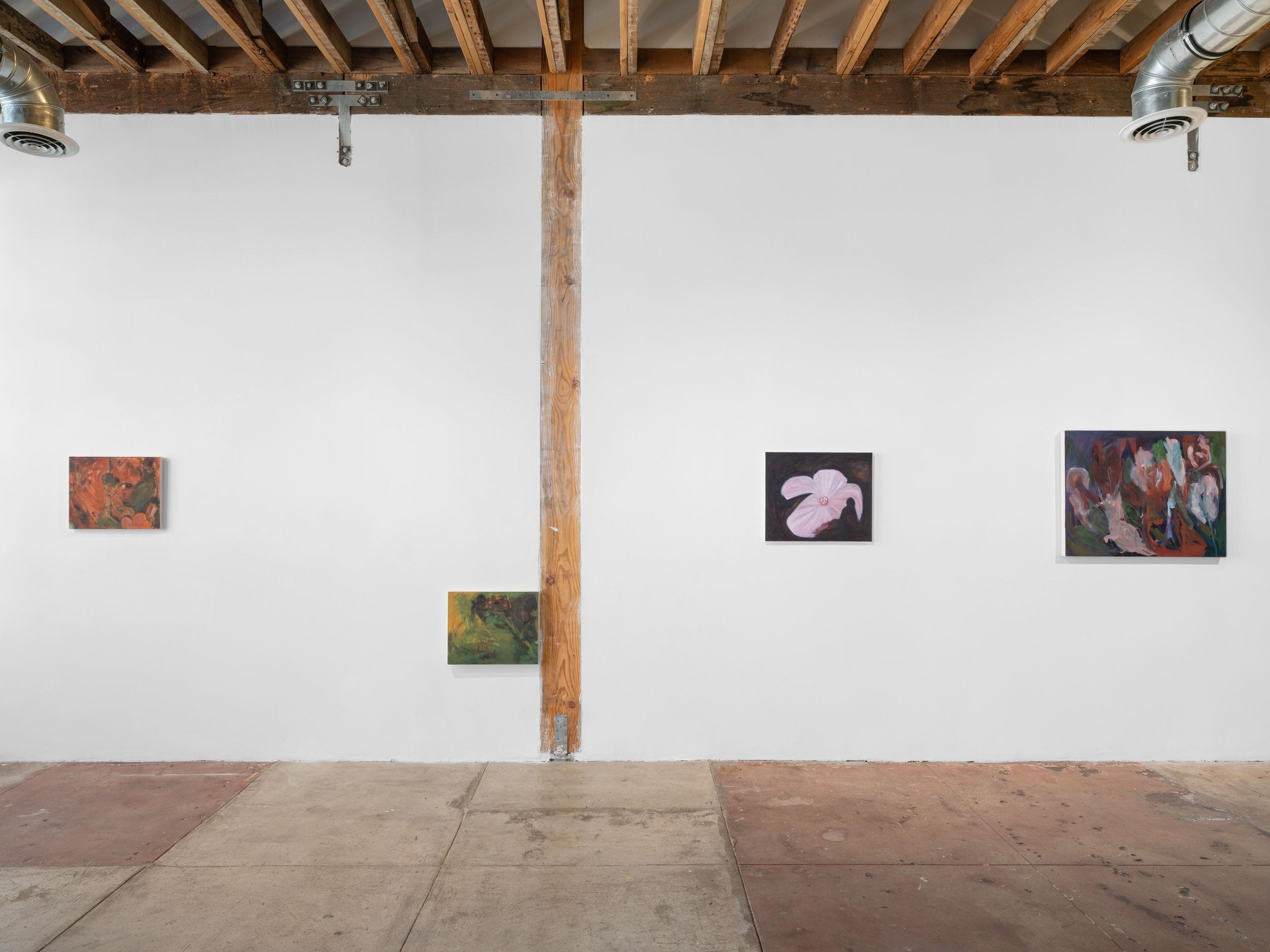 Installation view of paintings by Xiao He